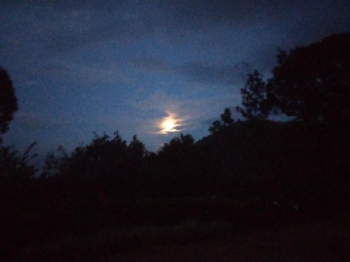 Abiyal Mountain Stay Madikeri Buitenkant foto