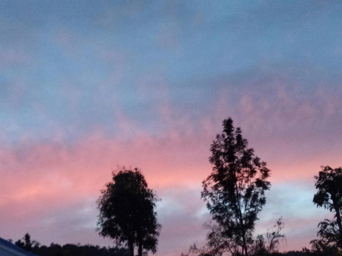 Abiyal Mountain Stay Madikeri Buitenkant foto